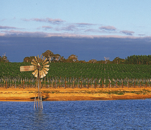 Fot. Australian Wine Export Council