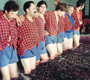 Tradycyjne wyciskanie winogron | Fot. IVP