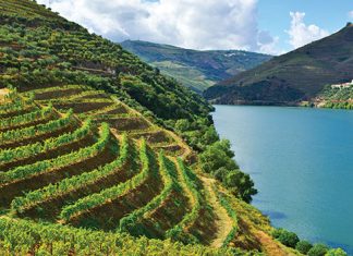 Portugalia, dolina rzeki Douro | fot. hermitis / shutterstock