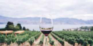 10 najlepszych miejsc na urlop dla miłośników wina