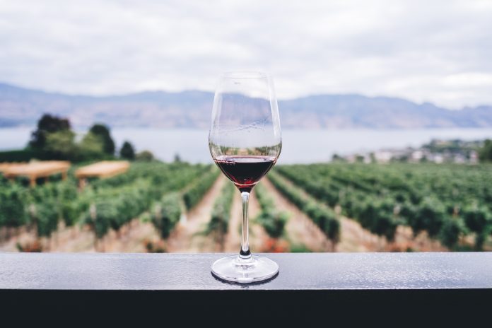 10 najlepszych miejsc na urlop dla miłośników wina
